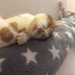 Jacqueline Read - @read2388 - Instagram