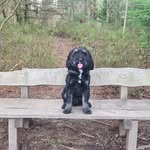 Jacqueline Robb - @jacquelinerobb11 - Instagram