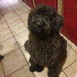 Jacqueline Robert - @jacqueline.robert22 - Instagram