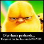 Chirita Cano - @jacquelinerobledo - Instagram