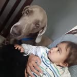 Jacqueline Schmidt - @schmidtjacquelinee - Instagram