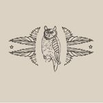 Jacqueline Schmidt - @screechowldesign - Instagram