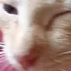 鈴木香織 - @jacquelinesharpogvjbv - TikTok