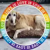 Jackie Sheppard - @jackie.sheppard - TikTok
