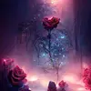 Jacquelyn Shiveley - @jacquelyn.shivele - TikTok