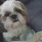 Jacqueline Simone - @jacquelinesimone9656 - Instagram