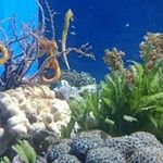 Jacqueline Singleton - @jacqueline.singleton.712 - Instagram