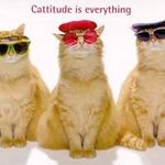 Jacqueline Singleton - @jsingleton4451 - Instagram