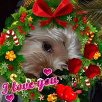 Jacqueline Sixdenier - @jacquelinesixdenier - Instagram