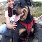 Jacqueline Solorio - Facebook