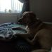 Jackie Stackhouse - Facebook