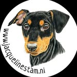 Jacqueline Stam - @jacqueline_stam_art - Instagram