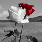 Jacqueline Steger - Facebook
