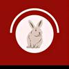 Jacqueline.styles - @jacqueline.stylson - TikTok
