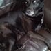 Jackie Sumner - Facebook