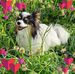 Jackie Sumner - Facebook