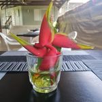 Jacqueline Tabor - @jaki_tabor - Instagram