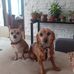 Jacqueline Vannereau - Facebook