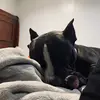 Jacqueline Velasquez - @jacqueline.velasq3 - TikTok