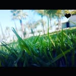 Jacqueline Velázquez Flores - @jacquelinevelazquezflores - Instagram