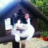 Jacqueline Vincent83 - @jacquelinevincent01 - TikTok