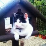 Jacqueline Vincent - @jackievincentbcls - Instagram