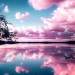 Jacqueline Vos - @vosjacqueline - Instagram