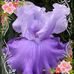 Jacquelyn E. Vogt Warfield - Facebook
