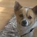 Jacqui Warwick - Facebook