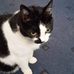 Jackie Waugh - Facebook
