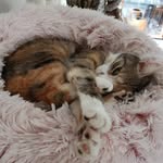 Jacqueline - @jacqueline._wegner - Instagram