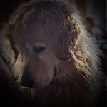 Jackie Weir-Thon - @jacqueline_weir - Instagram