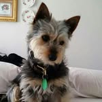 Jacqueline Whyte - @abundanceandsimplicity - Instagram