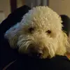 Jacqueline Weidmann - @jacqueline.weidma - TikTok