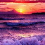 Jacqueline Wolfe - @jacquelinewolfe1965 - Instagram