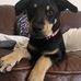 Jacqueline Womack - Facebook