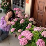 Nang Su May Hninphwe - @jacqueline_yang - Instagram