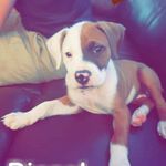 Jacquelyn Ballard - @jlballard1955 - Instagram