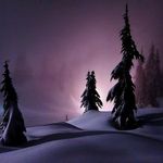 Jacqueline Bauer - @jacqueline_bauer_1997 - Instagram