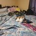 Jacquelyn Blake - Facebook