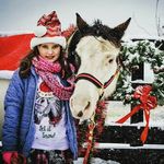 Jacqueline Bowen - @horse_rider_42 - Instagram