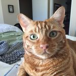 Jacquelyn Bowen - @lynmwatson - Instagram