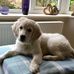 Jackie Browning - Facebook