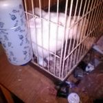 jjbrowning - @jacquelynbrowning46225 - Instagram