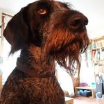Jacqueline Brunner-Müller - @jacquelinebrunnermuller - Instagram