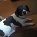 Jacquelyn Bruner - Facebook