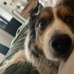 Jackie Buckley - Facebook