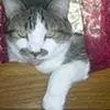 Jacquelyn Buckley - @jacquelyn.buckley - TikTok