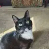 jacquelyncain282 - @jacquelyncain282 - TikTok