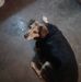 Jackie Chambers - Facebook